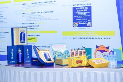 五老主题会议及专项办公室发布仪式在博鳌国际青少年服务创新大会北京峰会中圆满举行